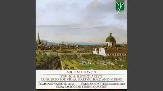 Flute Quartet in D Major, P 117: II. Rondo presto assai