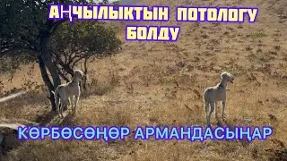 Карма эле карма ииии уууу болду бул жагы😅