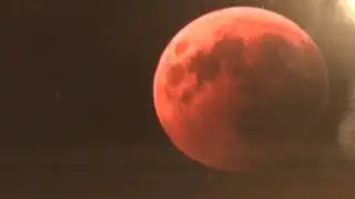 A star fell during super blood moon (blind reaction )