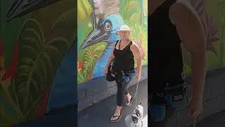 5840. Heel LHS handler distractions cassowary painting alleyway 14 Aug 2024 VS
