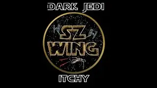 SZ-Wing Trainingsfight 1 (X-Wing)