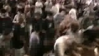 Mindsnare - The Fall Back