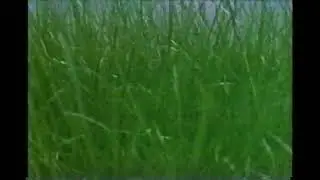 1986 05 22 Scotts Turf Builder Commercial