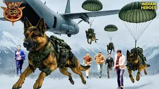कुत्तो ने की CID Team को Case सुलझाने में मदत | CID | Best Of CID | New Episode 2026
