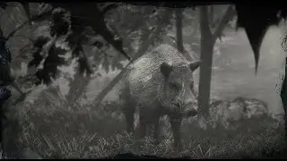 Hunting the LEGENDARY BOAR | Red Dead Redemption 2