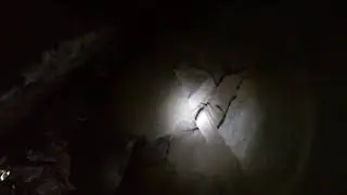 wild caving