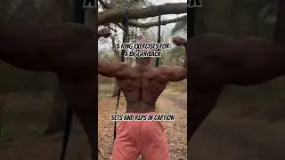 Ring workout for a bigger back #bodyweightworkout