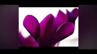 Dua e nudba in Urdu language 