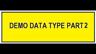 demo Data Type part 2