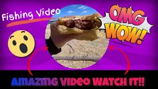 Fishing Video - Creating the ultimate walmart budget fishing kit! | Vlogs #3