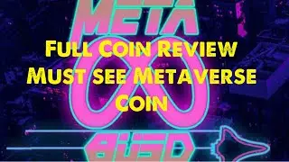 MetaBUSD Coin Full Review