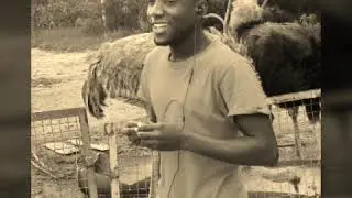 Csbd