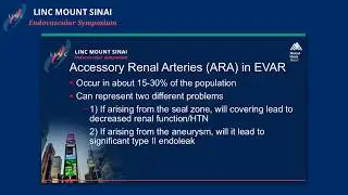 Management of Accessory Renal Arteries and Large IMA During EVAR: Ignore, Embolize or Preserve