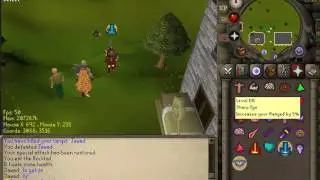 reality-scape new pking rsps