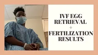 Egg Retrieval | AND Fertilization Report