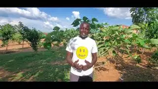 Holistic  soaps Enterprise  production manager  at Bidibidi Refugee settlement zone two 