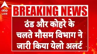 North India में कोहरा और कड़ाके की ठंड जारी |ABPLIVE