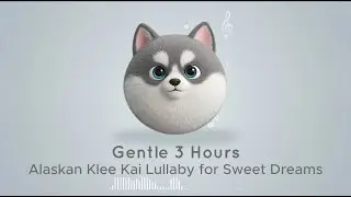 Alaskan Klee Kai Dream 🐶 Gentle 3 Hours Arctic Dog Lullaby for Sweet Sleep #Lullaby