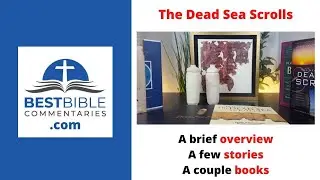 What Are the Dead Sea Scrolls? [Brief Summary, Replica Items, Good Books]