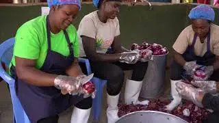 Celebrating Women's Month||Happy International Women's Month