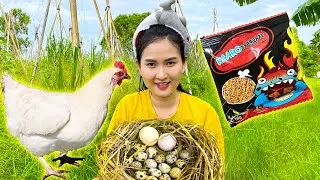 Trộm trứng con gà, trứng chim ngoài đồng và cái kết ăn trứng sống của Changcady - Part 242