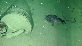 Two Ships Found Near Spanish Galleon Full Of Gold And Sunk By British In 18th Century