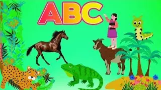 Wild Wonders:An Animal Alphabet  Adventure