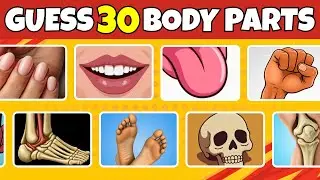Only 1% Can Guess All 30 Human Body Parts!