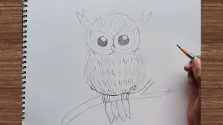 Drawing tutorial of the owl 🦉 | pencil sketch | simple pencil drawing of birds | Owl sketch easy way