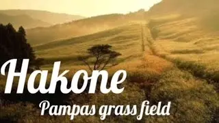 Japan so nice - Pampas grass fields, Chouan-ji temple,  Hakone museum of art