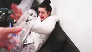 SPIDER PRANK ON MY GIRLFRIEND!