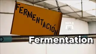 The fermentation process in creating authentic tequila