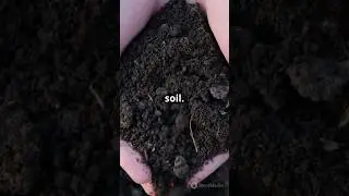 Top 5 Soil Tips for Perfect Gardening! #diygardening #greengardener #budgetgardening #gardeninggoals