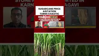Farmers' Fury In Karnataka: Sugarcane Protest Turns Violent, Stones Pelted On Highway #breakingnews