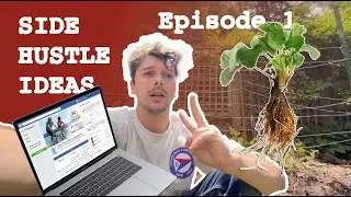 Side Hustle Ideas - How I Made $164 on FB Marketplace Selling Plants 🌱
