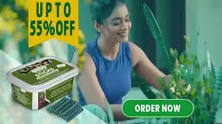 Easy and organic manure for any plants | House Plants Care Product | Plant Food Sticks