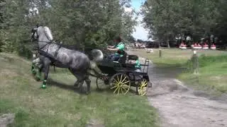 Bujáki Gábor fogathajtó emlékverseny Ácson