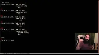 Little bits of lisp - if -v- when