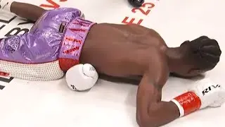 BOXING & MMA EXPLOSIVE KNOCKOUTS