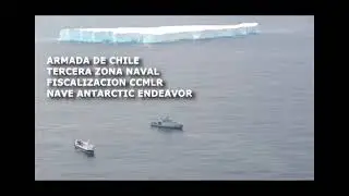 Ofpo antartica