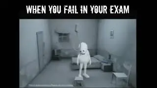 When you fail in exam vodafone zoo zoo