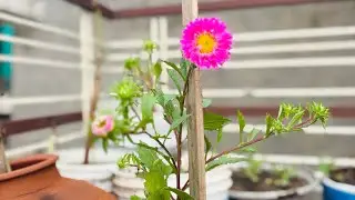 Watch till end so nice view ❤️ #nature #vlog #rainyday 