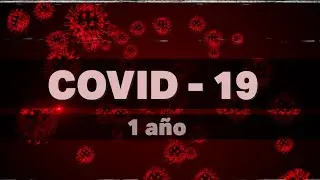 Covid 19, a un a&ntilde;o del inicio de la pandemia