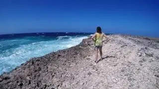 Aruba's North Shore