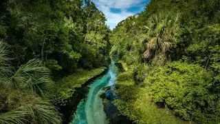 Kelly Park/Rock Springs - Apopka Fl