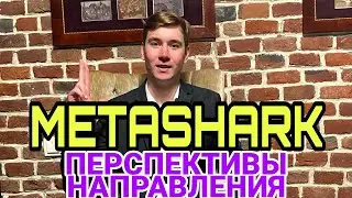 METASHARK. Есть ли возможность заработать? Перспективы проекта