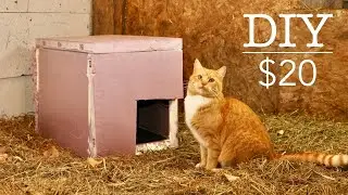 Keeping Cats Warm in Wintertime
