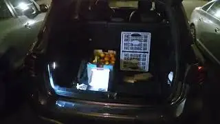 Trunk ambient led light strip with scanning