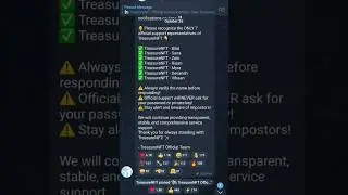 Treasure NFT Account Verification Process