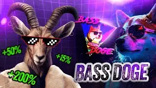 A SYMPHONY OF SOUND AND LIGHT! 🔥 Bass Doge 🔥THE FUTURE OF ENTERTAINMENT!